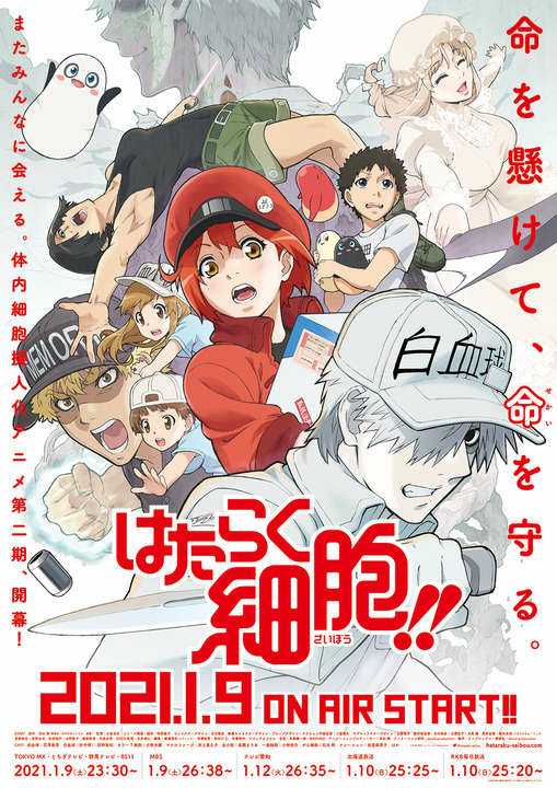 Cells at Work!! Season Two Visual
