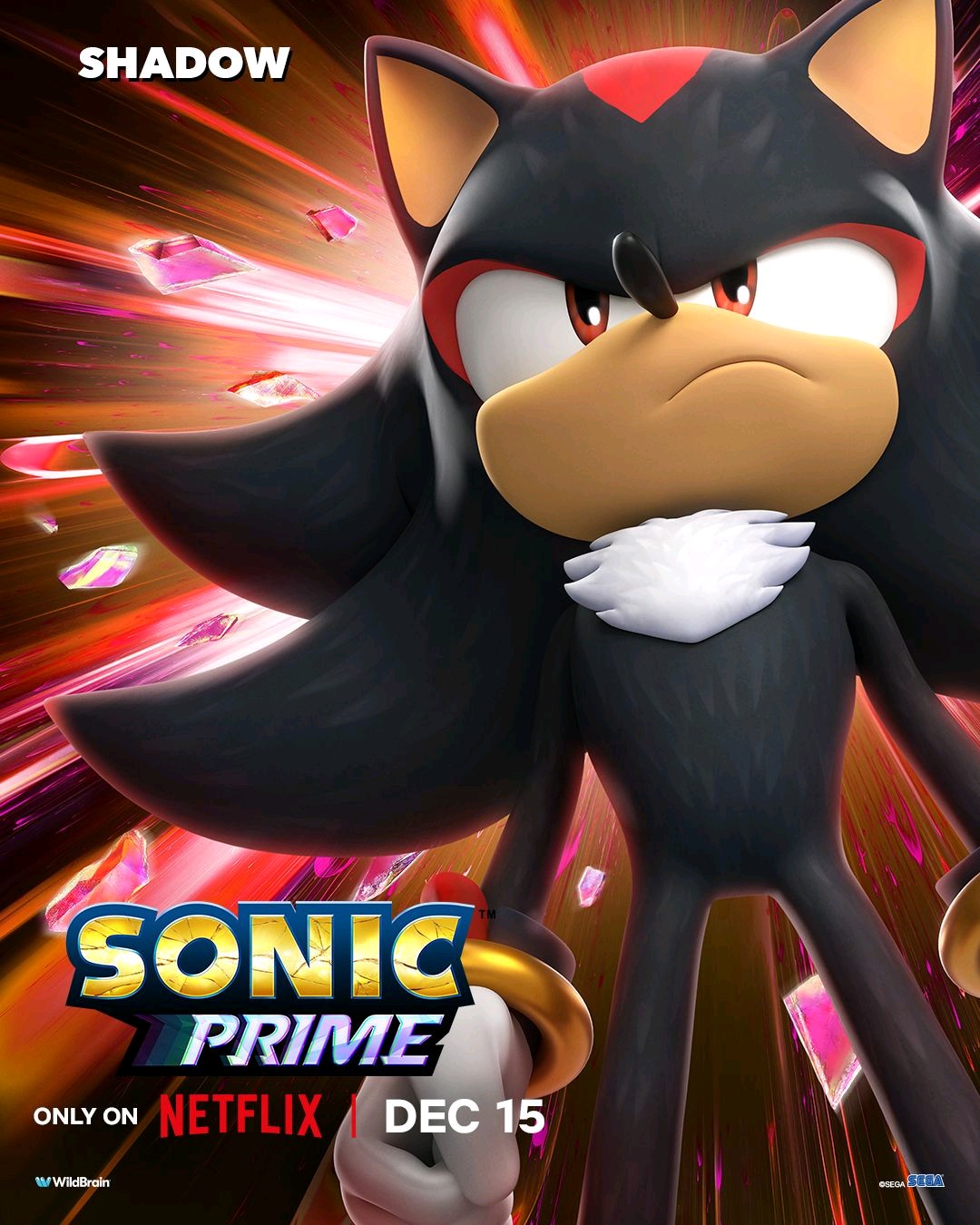 Sonic Prime Character Poster- Shadow