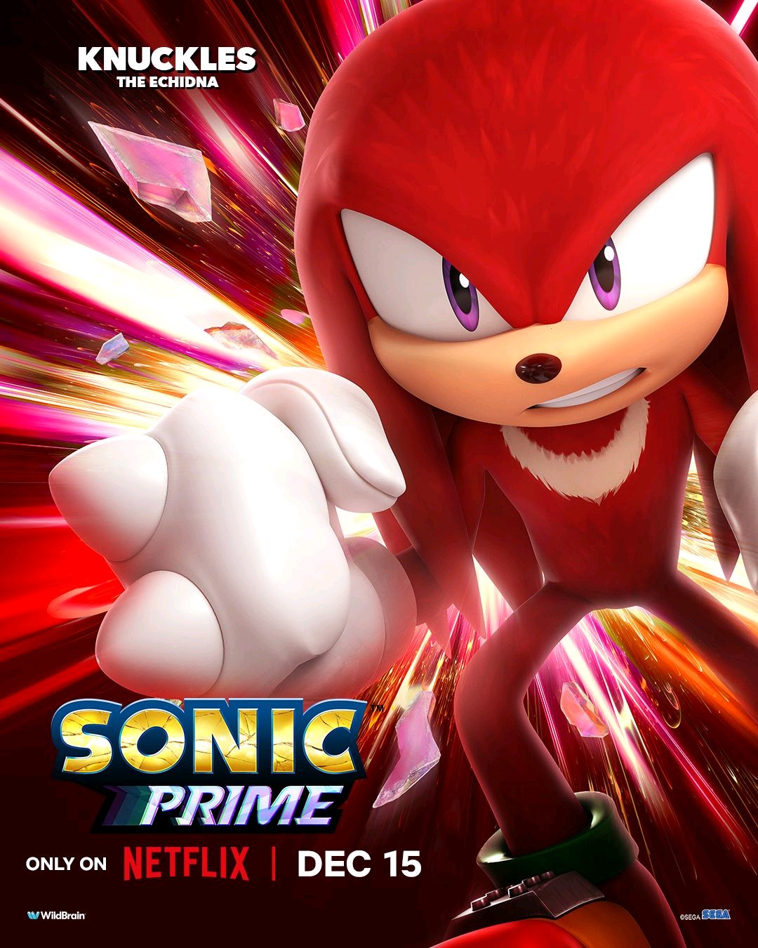 Sonic Prime Character Poster- Knuckles