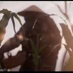 Speedokaggen Announces Part Two of TMNT: The Last Ronin Animation Is In The Works!