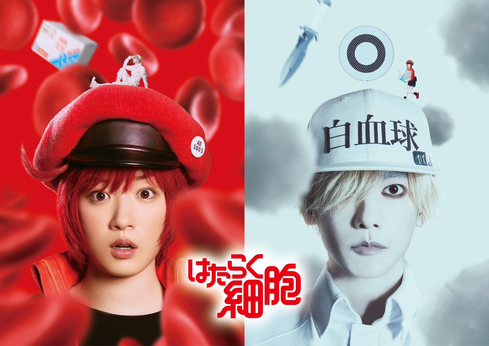 Cells At Work! Live-Action Film Teaser Visual
