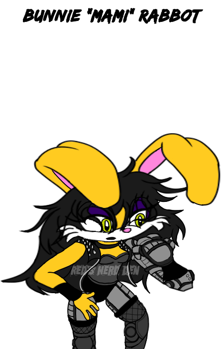 Fan Art Commission- Bunnie Rabbot WWE Cosplay