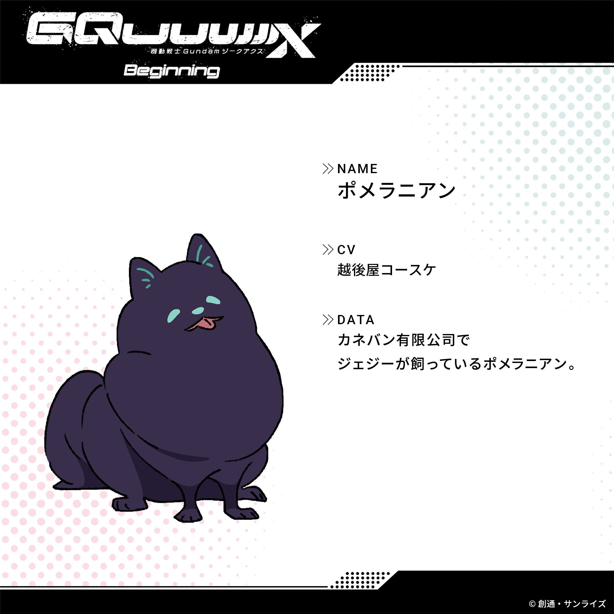 Mobile Suit Gundam GQuuuuuuX- Pomeranian