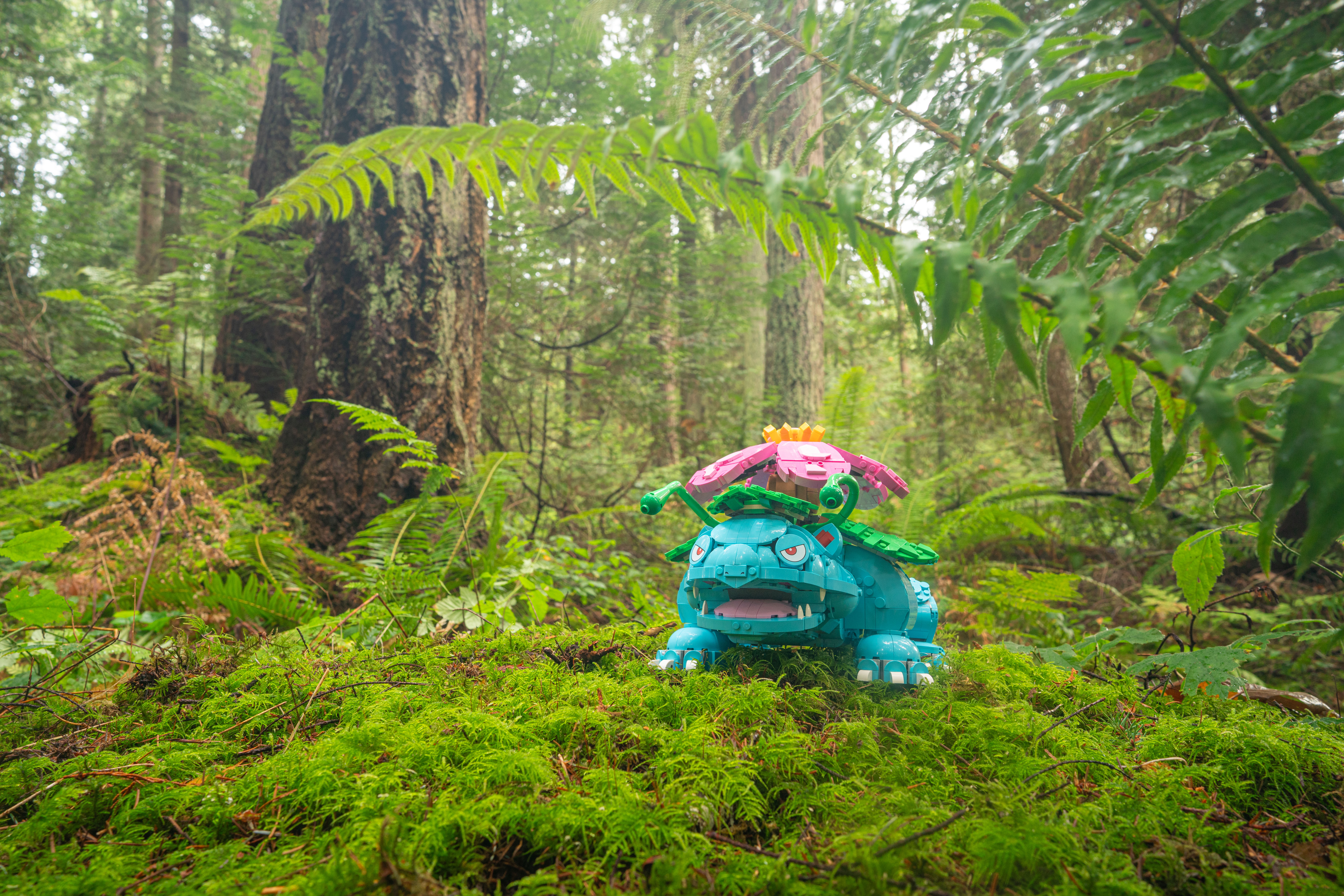 LEGO Pokémon: Venusaur, Vancouver B.C.