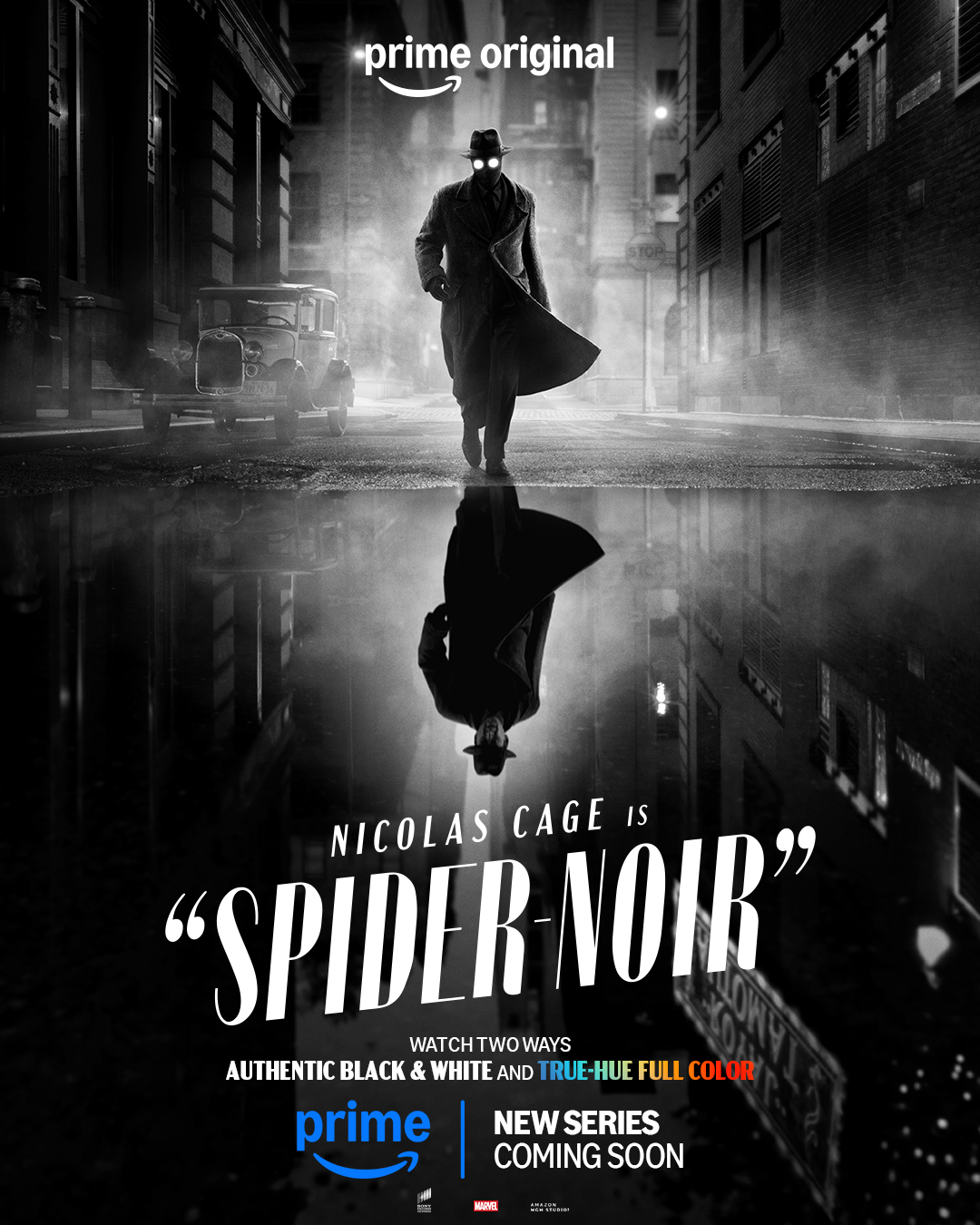 Spider-Noir (Authentic Black & White) Visual